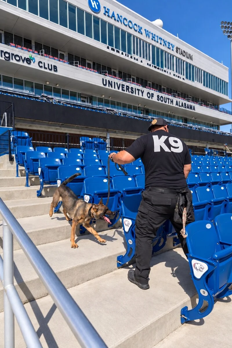 Canine detection team at an event venue