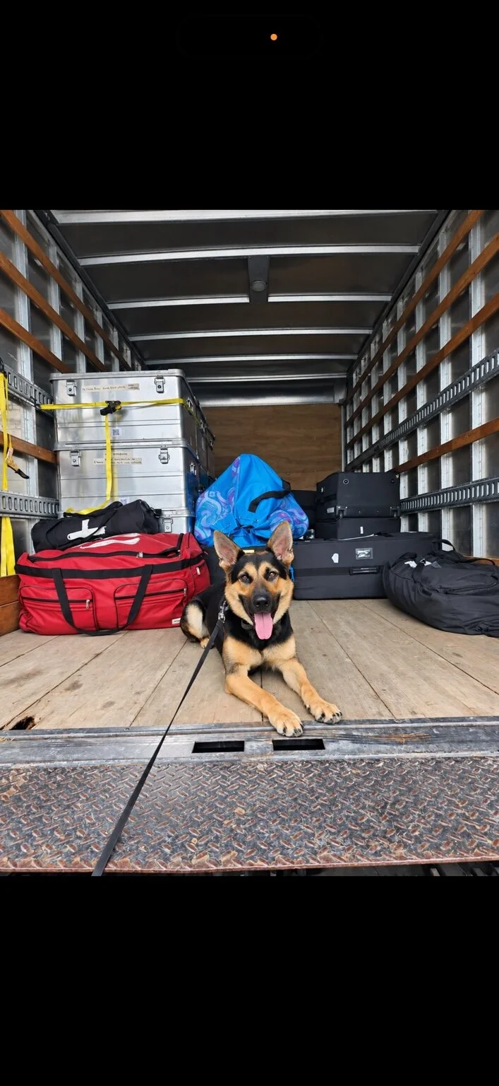 Explosive detection dog in a cargo truck with luggage